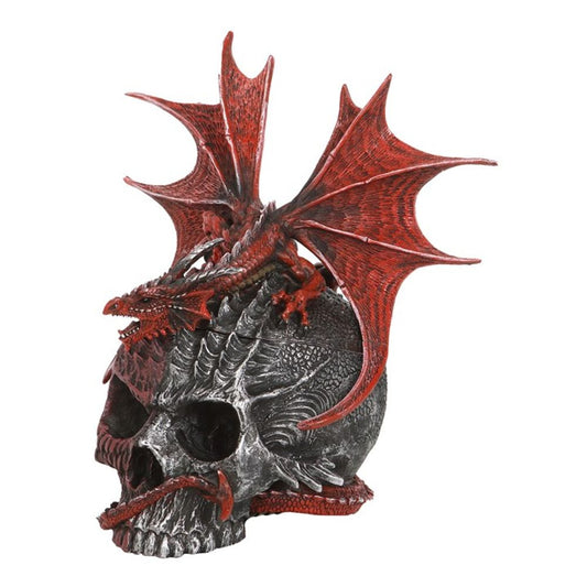 Serpent Infection Lidded Skull Ornament by Spiral Direct - Kate's Clothing