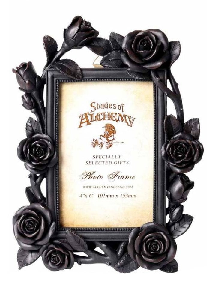 Alchemy Gothic Rose & Vine Photo Frame - Kate's Clothing