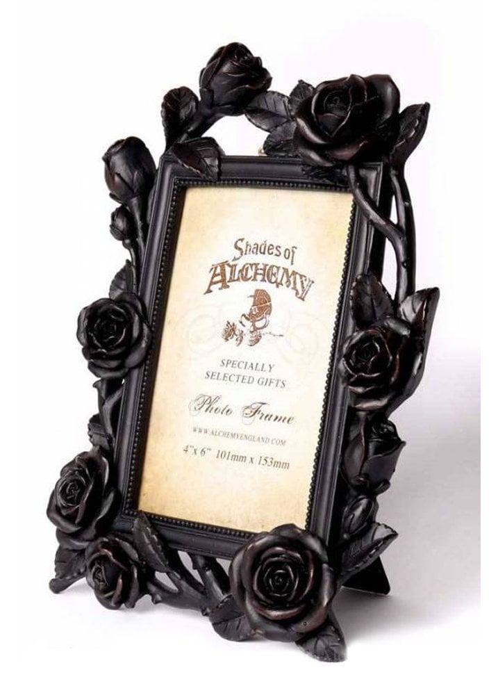 Alchemy Gothic Rose & Vine Photo Frame - Kate's Clothing