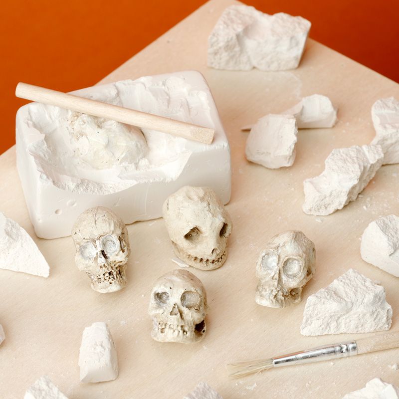 Gothic Gifts Skull Dig It Out Kit excavation example showing multiple tiny skulls uncovered from block