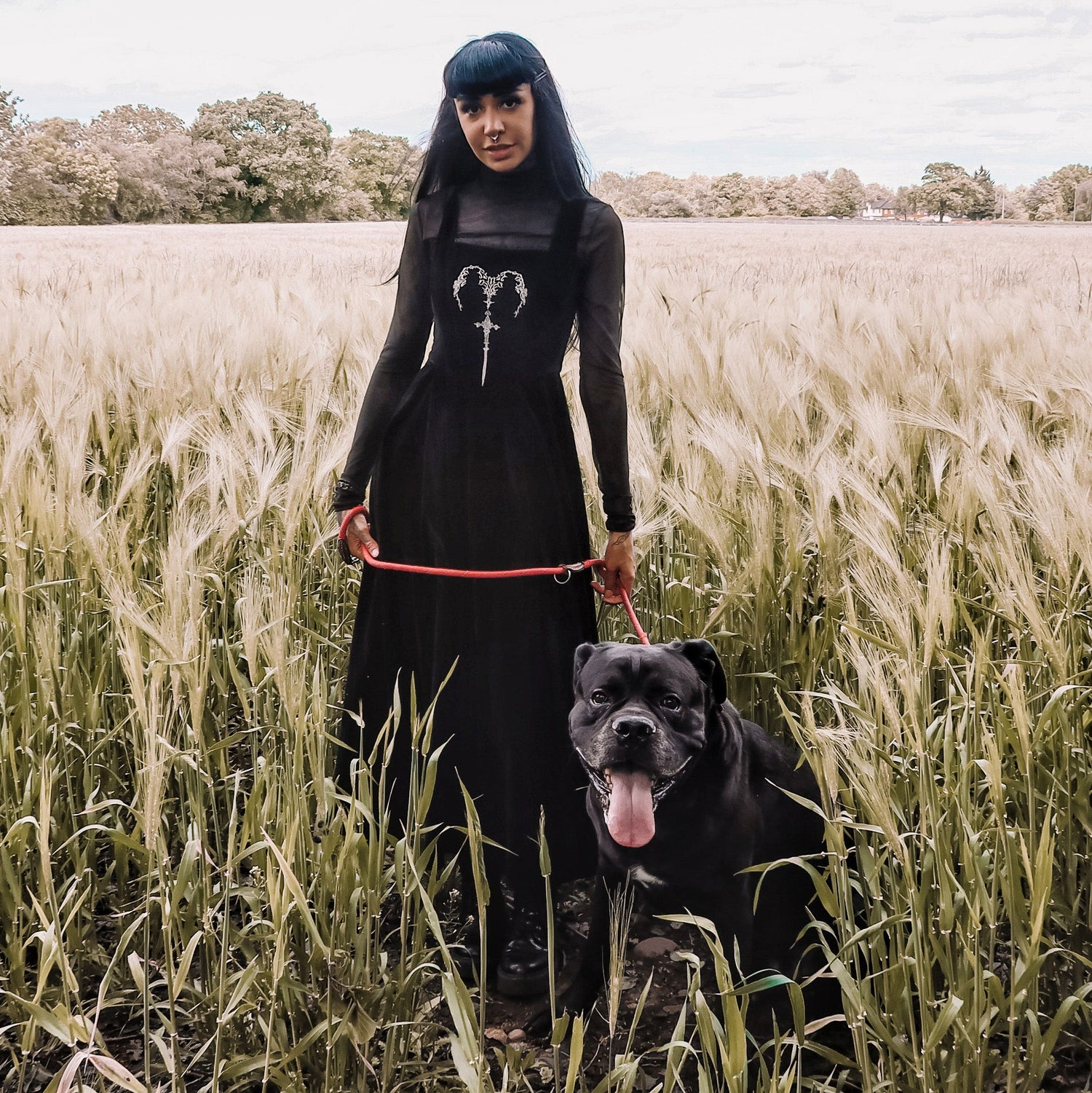 Model wearing Dark in Love gothic fashion - dark romantic to punk and tartan in a field with a big black dog