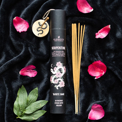 Gothic Gifts Serpentine Incense Stick Get Set