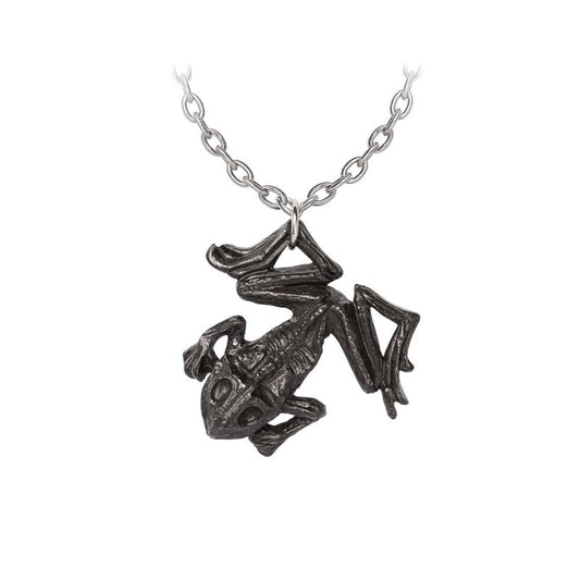 Alchemy Gothic Black Paddock Necklace