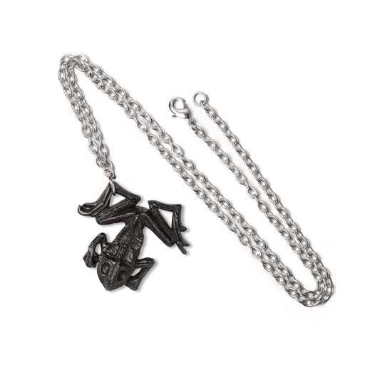 Alchemy Gothic Black Paddock Necklace