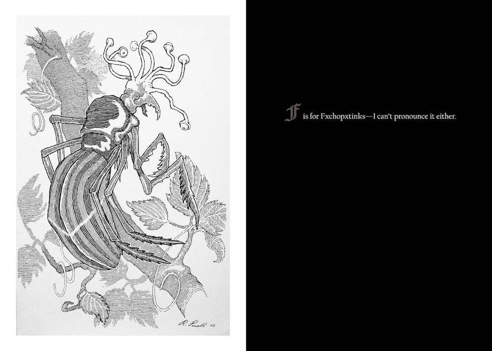 Alphabet of Oddities: A Gothic Bestiary Book by Ronald Porcelli - Illustrated Hardback