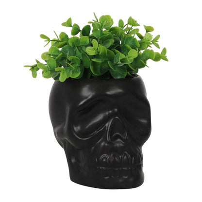 Gothic Gifts Skull Plant Pot - Kate's Clothing