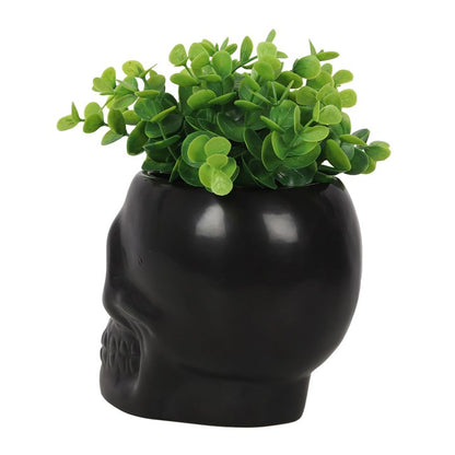 Gothic Gifts Skull Plant Pot - Kate's Clothing