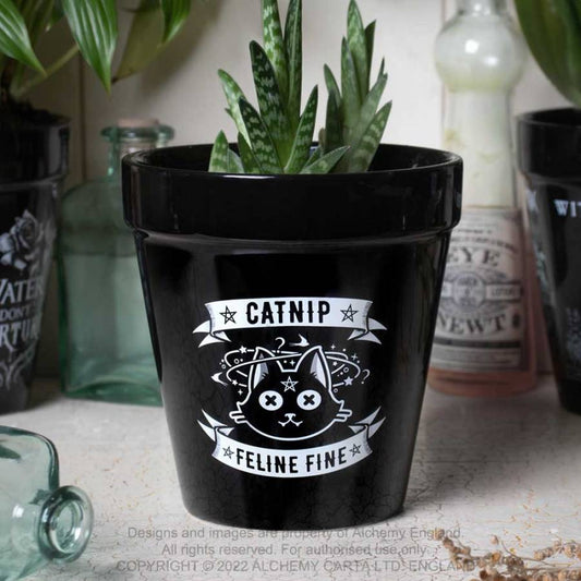 Alchemy Catnip Plant Pot - Kate's Clothing