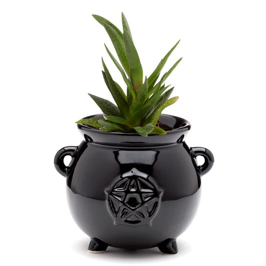 Gothic Gifts Cauldron Shaped Indoor Plant Pot - Kate's Clothing