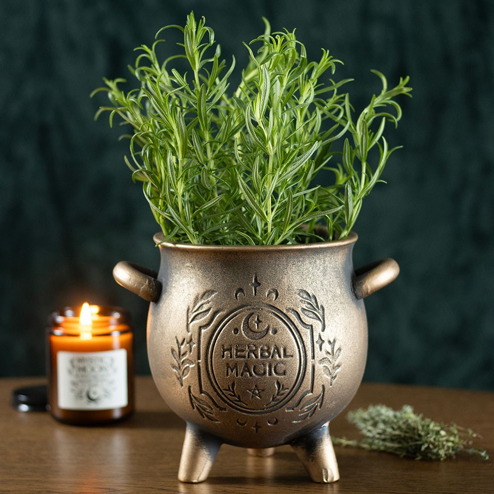 Gothic Gifts Herbal Magic cauldron plant pot featuring a bronze-effect finish and lush green herbs.