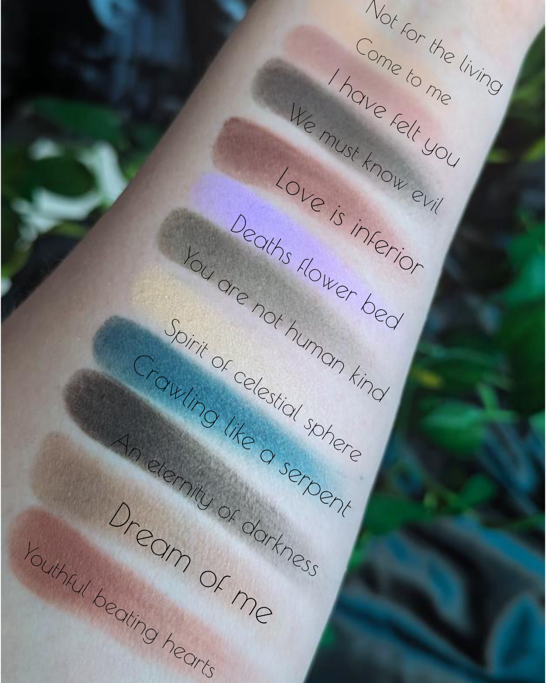 Radioactive Unicorn Nosferatu Palette Goth Eyeshadow Collection