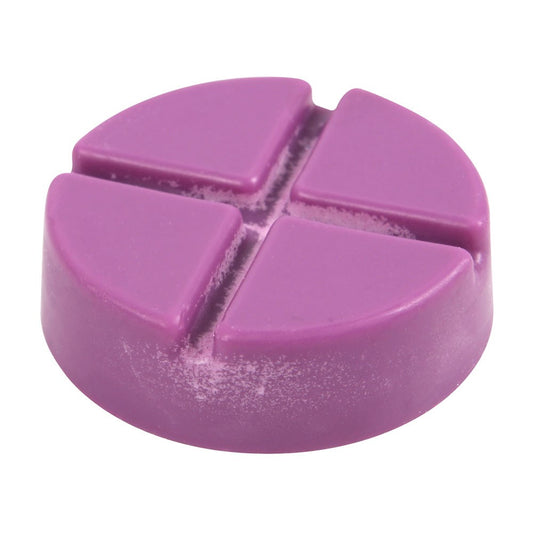 Gothic Gifts Soy Wax Snap Disc for the Witching Hour