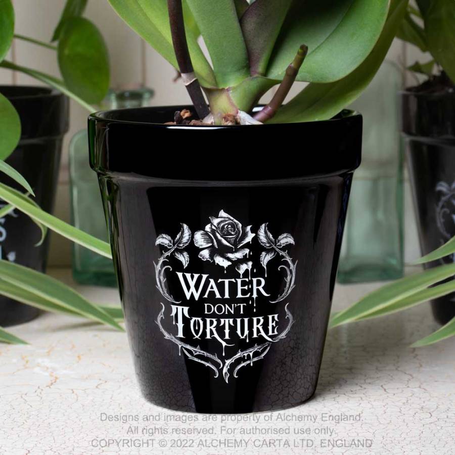 Alchemy Water Don't Torture Plant Pot - Kate's Clothing