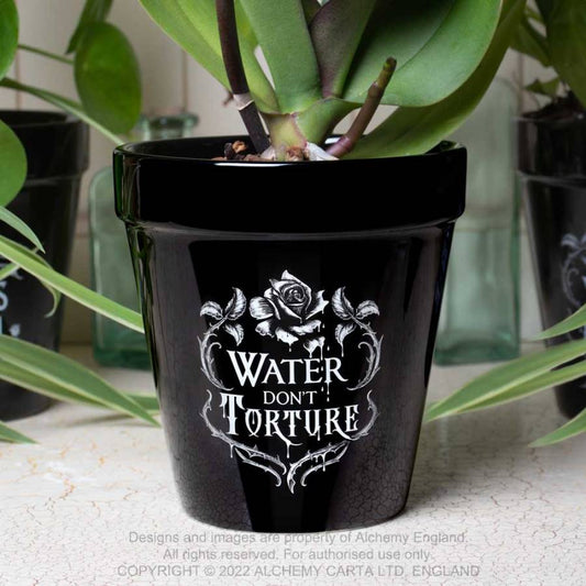 Alchemy Water Don't Torture Plant Pot - Kate's Clothing