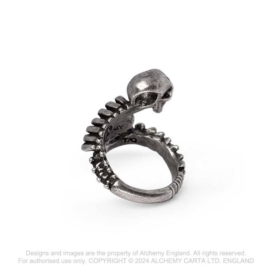 Alchemy Gothic Resurrected ring skull ribcage vertebrae wrap gothic pewter statement ring