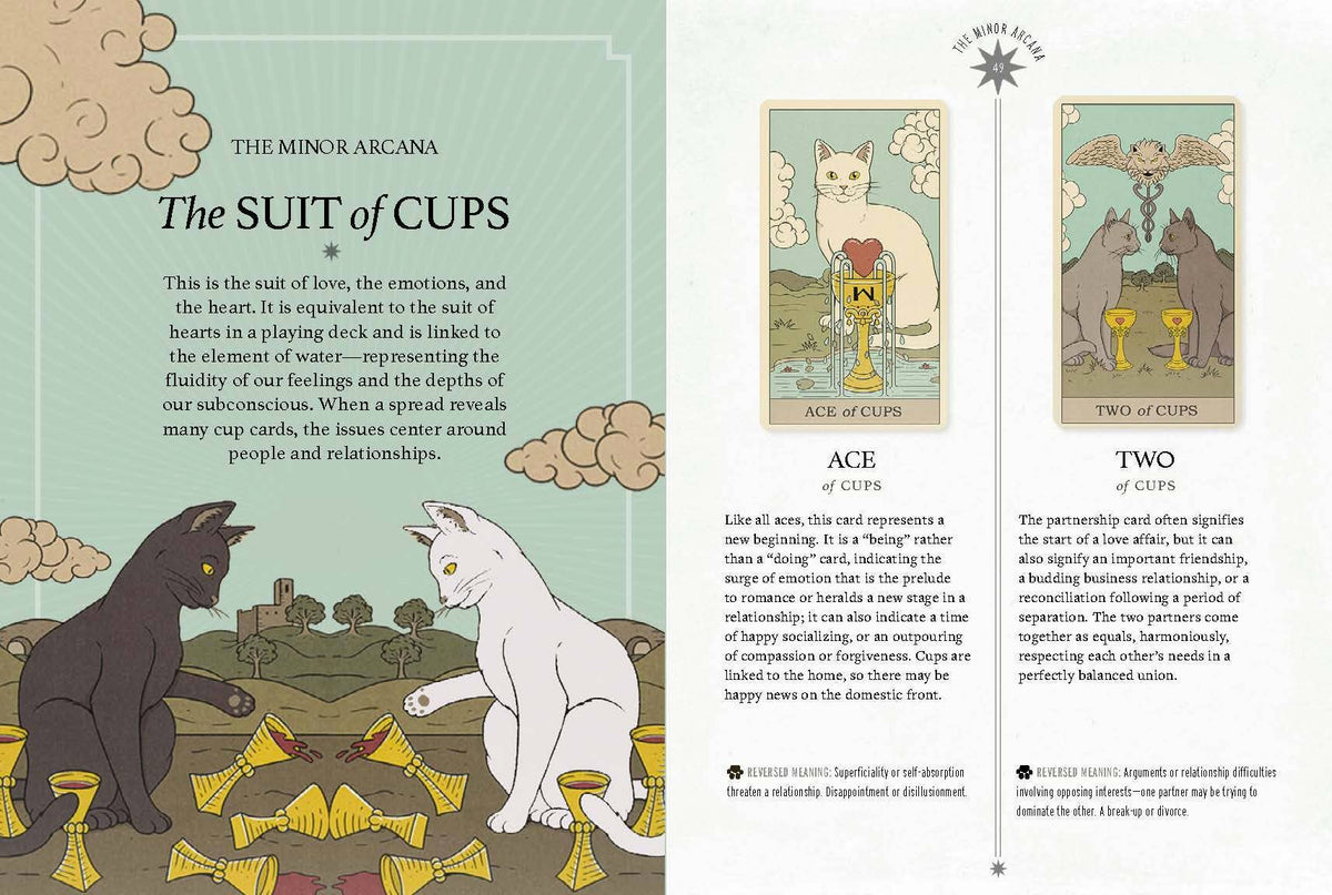 The guidebook open at a spread, with text beside small pictures of the cards.