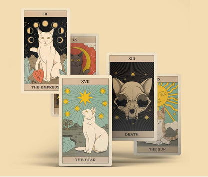 A spread of cat tarot cards laid out flat, showing different card illustrations.