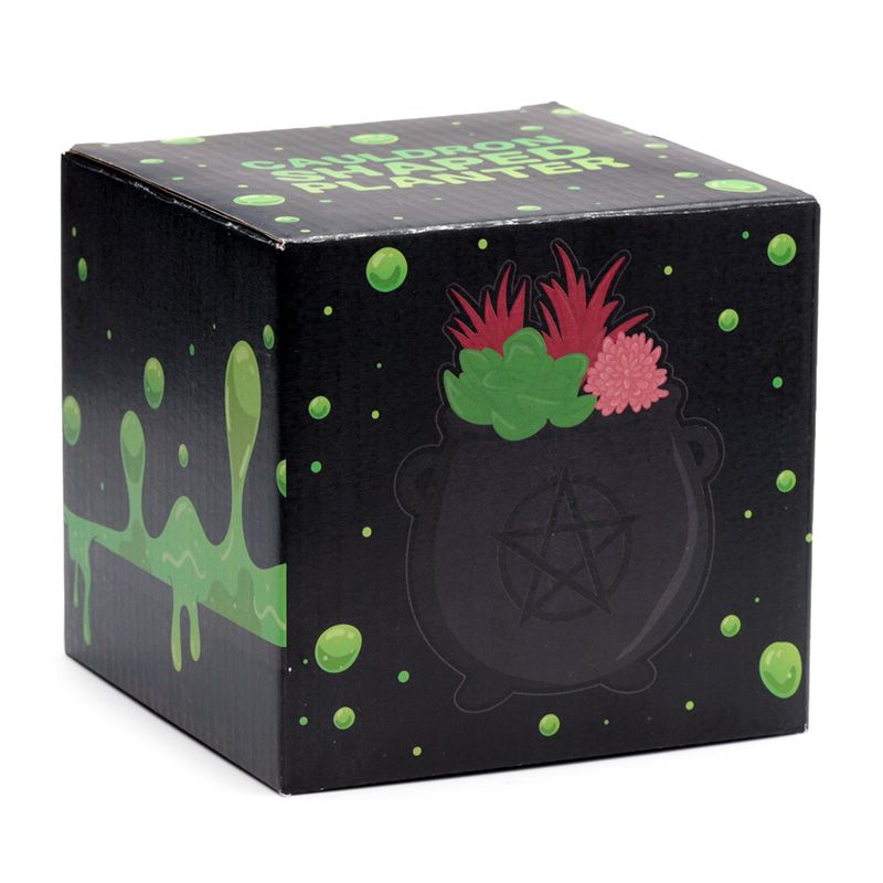 Gothic Gifts cauldron shaped plant pot with pentagram gothic planter gift box