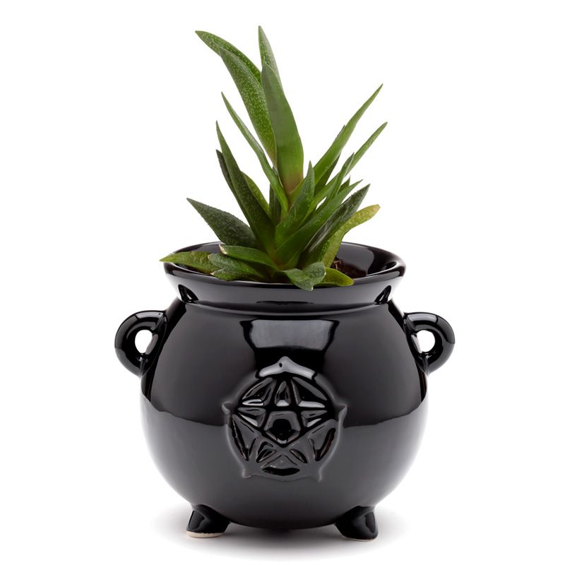 Gothic Gifts cauldron shaped indoor plant pot with pentagram black ceramic planter