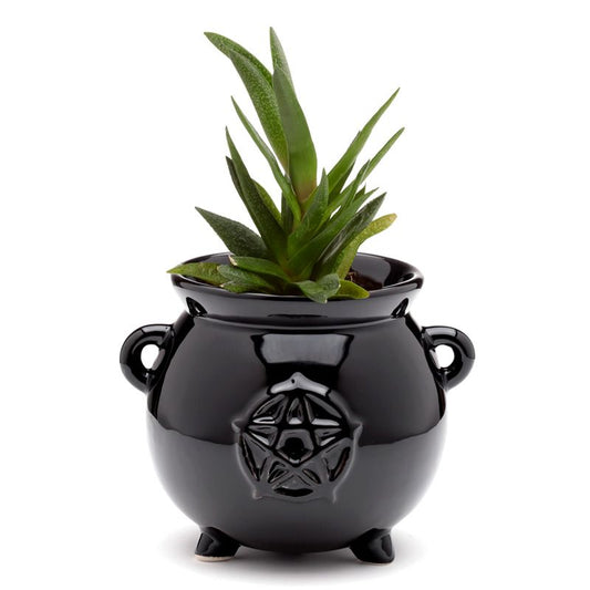Gothic Gifts cauldron shaped indoor plant pot with pentagram black ceramic planter