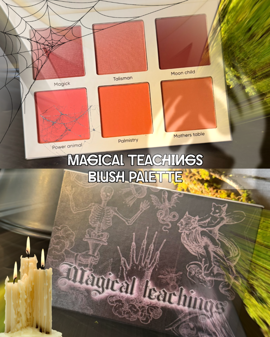 Radioactive Unicorn Magical Teachings 6-Shade Blush Palette