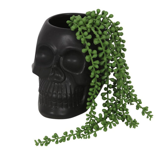 Black Skull Plant Pot - Kate's Clothing