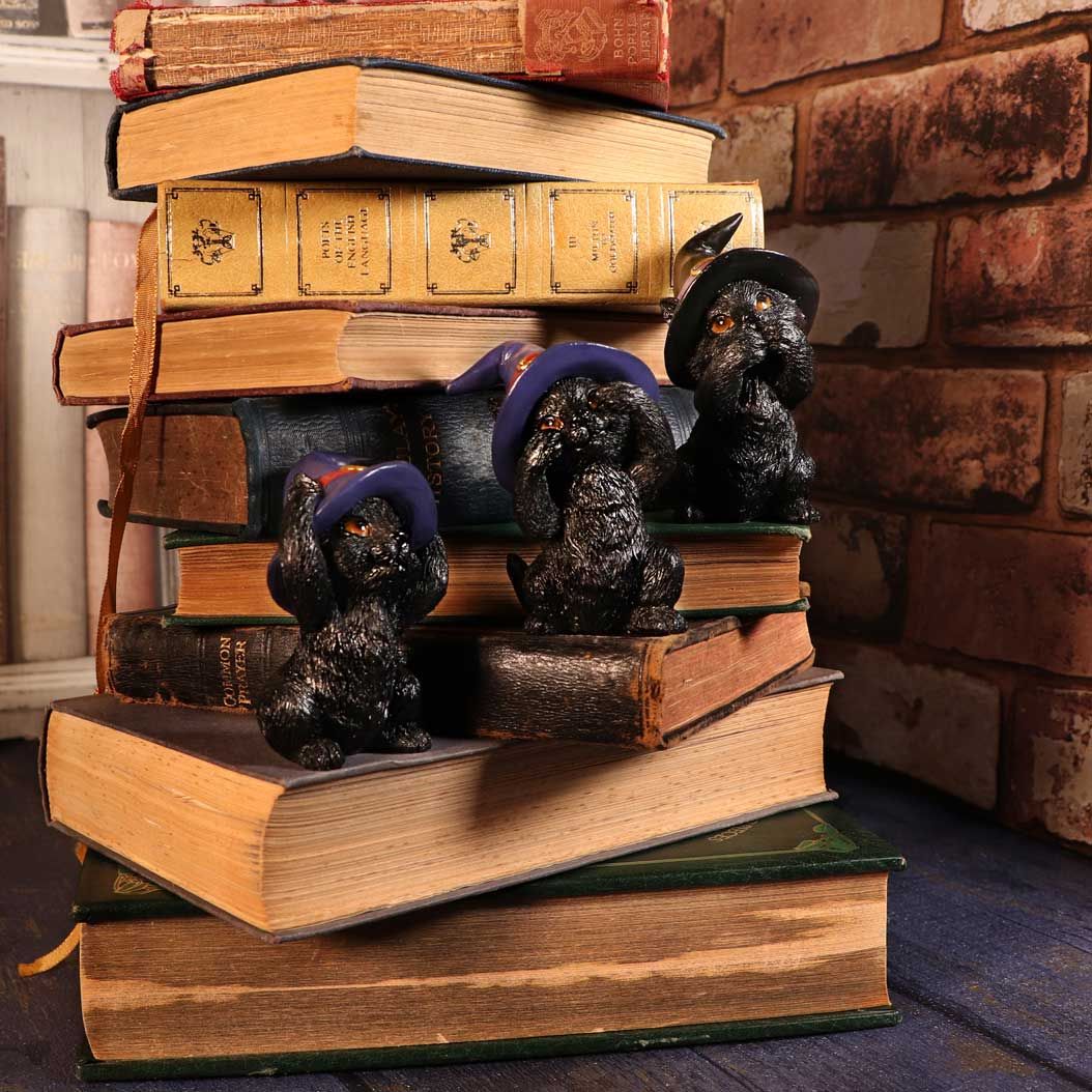 Nemesis Now Three Wise Familiars - Kate's Clothing