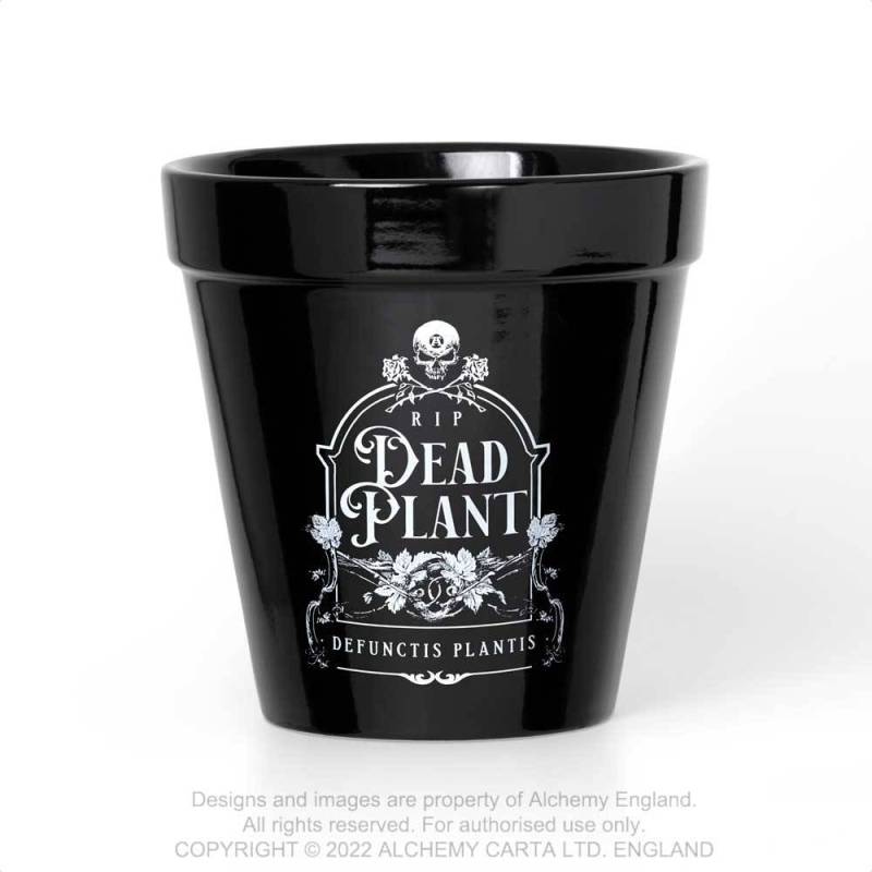 Alchemy Plant Pot WIth Dead Plant Print - Kate's Clothing