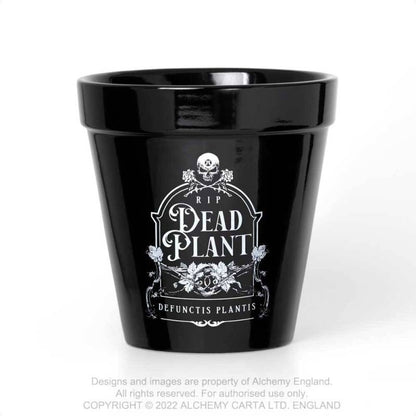 Alchemy Plant Pot WIth Dead Plant Print - Kate's Clothing