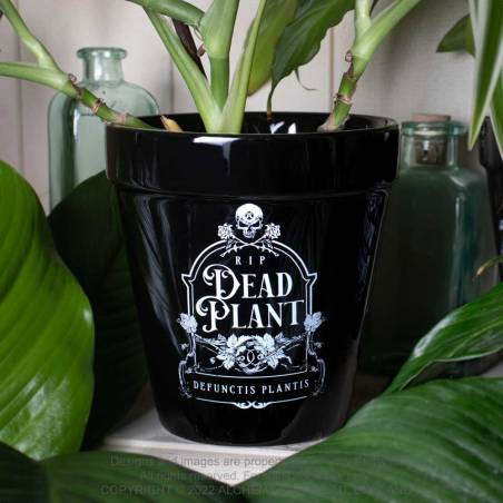 Alchemy Plant Pot WIth Dead Plant Print - Kate's Clothing