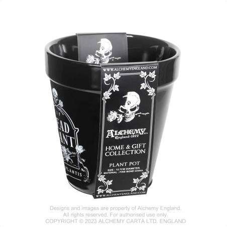Alchemy Plant Pot WIth Dead Plant Print - Kate's Clothing