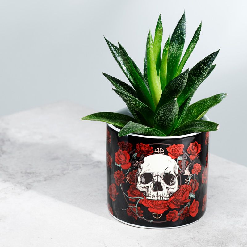 Gothic Gifts Skulls And Roses Small Indoor Plant Pot - Kate's Clothing
