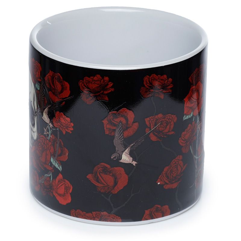 Gothic Gifts Skulls And Roses Small Indoor Plant Pot - Kate's Clothing