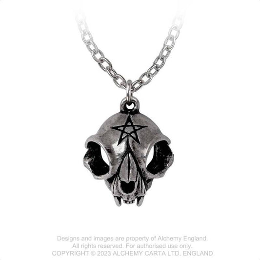 Alchemy Gothic Forever My Friend pendant cat skull necklace with pentagram detail pewter gothic jewellery
